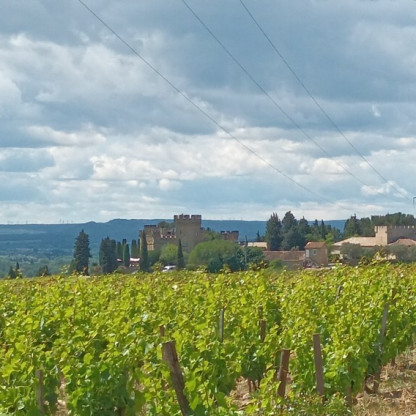 Villeneuve-lez-Avignons 4