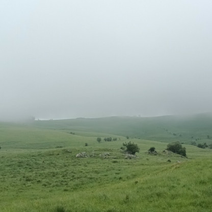 La convivilité